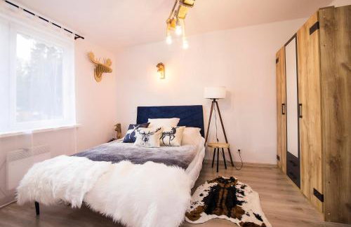 Uroczy Apartament Muszynka - Foto 1