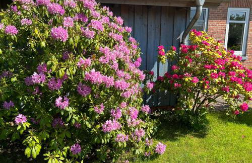 Ferienhaus Johanna Hooksiel - Foto 24