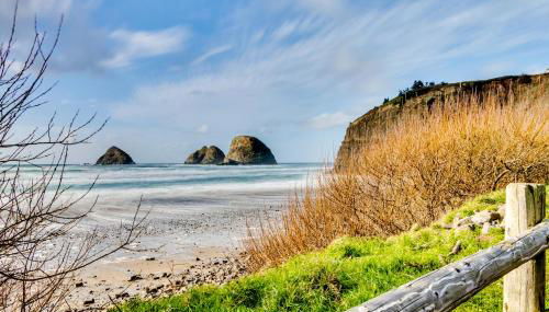 Sanderling - Photo 2