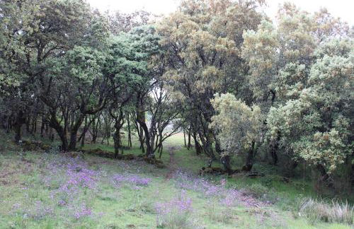 Quinta Da Devesa B1 - Foto 17