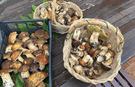 Historic Farmhouse Casa Del Chiodo - Foto 32