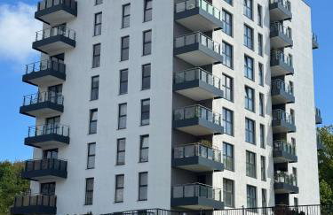 Navy Blue Apartment - Photo 30