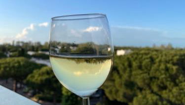 Les pins du Capri - Meublé de tourisme 3 étoiles - Foto 5