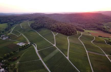 Pension Breitenauer See - Foto 105