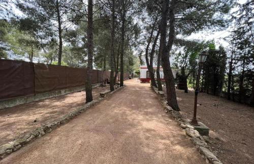 Finca Los Molinos - Foto 44