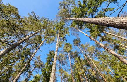 Mazurska Zatoka Resort & Spa - Apartamenty nad jeziorem z prywatną plażą i podgrzewanym basenem zewnętrznym, Mazury w rytmie SLOW - Foto 52