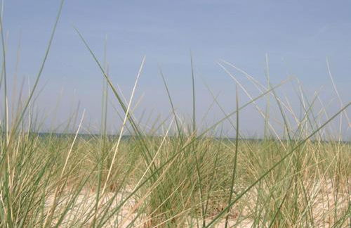 Appartmentanlage Zur Düne - Foto 57