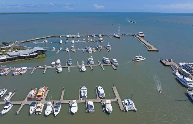 Koala Court Holiday Apartments - Photo 70