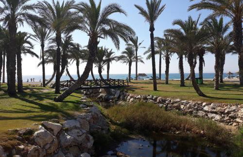 Saturno 1 Sea Views Los Alamos - Foto 13