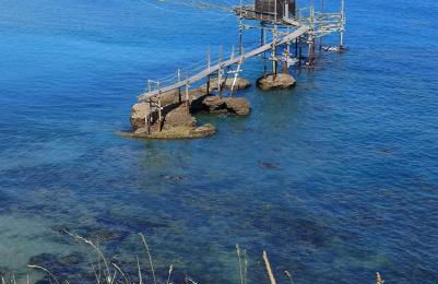 Happy Penna - Foto 57