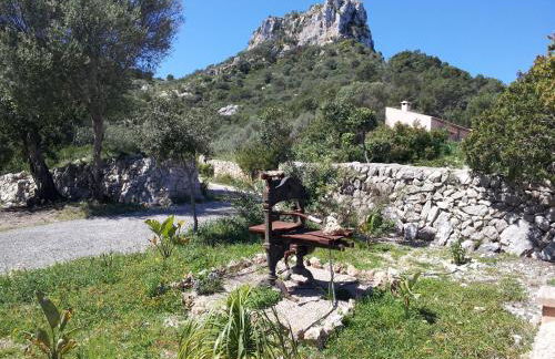 Agroturisme Es Picot - Foto 108