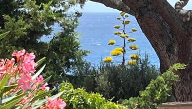 Villa Lilause - Foto 5