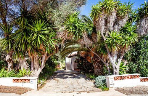 Villa Cecylia - Foto 6