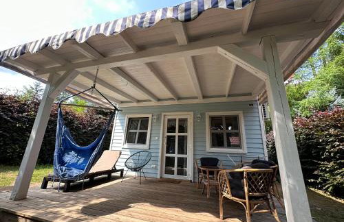 Kwiat Paproci - Foto 41