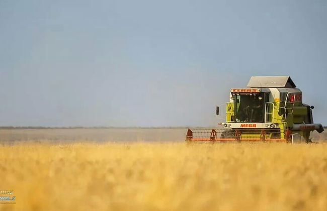 Ferienhof Schild - Foto 32