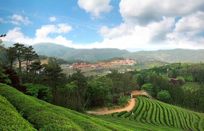 Nokcha Resort - Foto 40