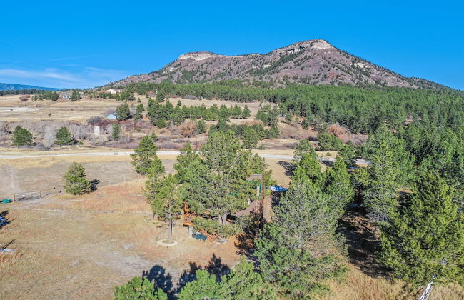 Tree Deer Blind - Foto 33