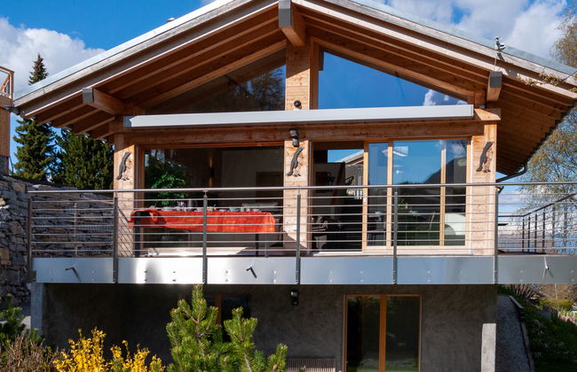 Les penguins - Foto 18