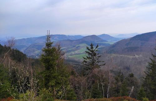 Sudecka Ostoja z Balią i Sauną - Foto 42