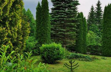 Kuća za odmor - Agatha - Bjelolasica - Foto 37