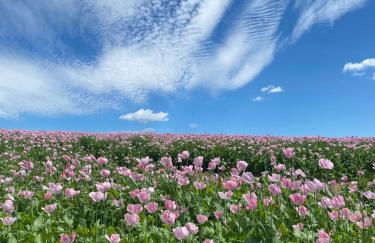 Loft im Haus mit Geschichte - Foto 17