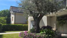 Ca' Olivo - Foto 5, Garden, Garden view