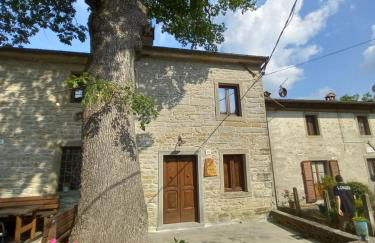 CASINA LA QUERCIA - Foto 23