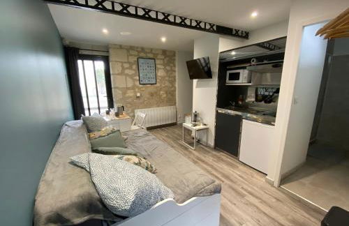 Studio Indre climatisé, La halte de Cuzé, aux abords de la Loire à vélo - Foto 14