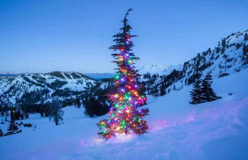 Cozy 3BDR - 1 Minute to the Beach! - Foto 17