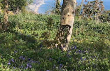 Sea Cliff View Designer Home - Photo 51