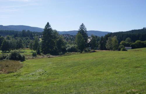 Ferienwohnung Schwarzwaldlust - Foto 29