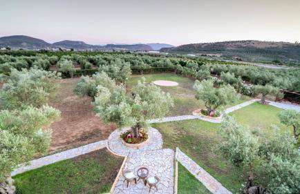 Agroktima Elia - Foto 58