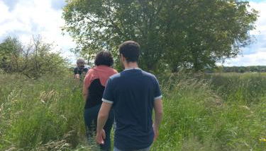 Les hirondelles - Foto 4