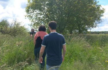 Les hirondelles - Foto 4