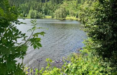 BergOase-Apart am Feldberg - Foto 54