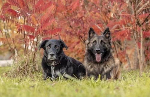 Studio de la Peyriere - Foto 14
