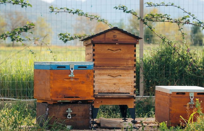 Milea Agritourism - Foto 68