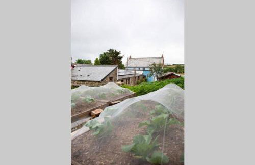 Sandy Cove Cottage - Foto 14