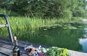 Kruszkanawierzbie - Foto 37