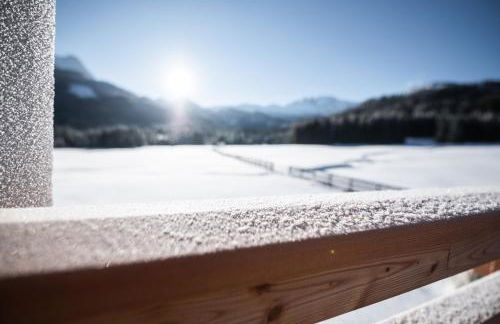 Les Pizades - Foto 29