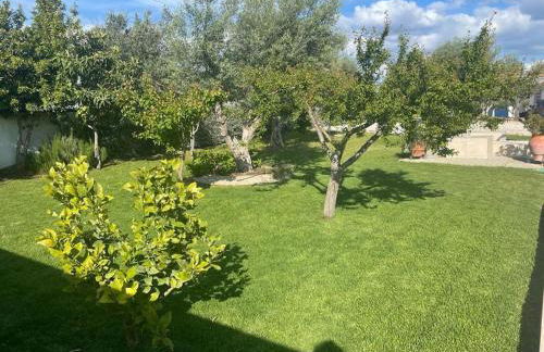 Casa das Oliveiras - Foto 42