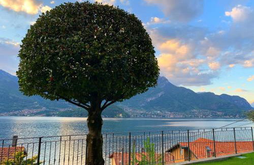 Residence Molinari Lake Como - Foto 9