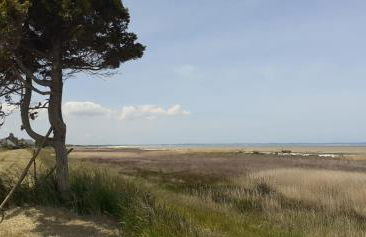 Chez Emile - Foto 46