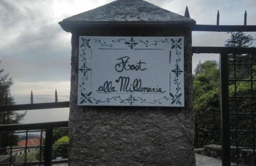 Host alla Millenaria - Foto 6