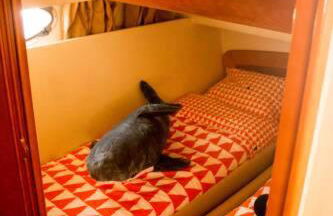 Charming house in Souselo with stunning views, 48m² - Foto 9