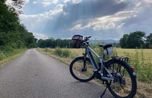 StylishAptWtrGrdnOppLake&Prk&Yrd - Foto 10