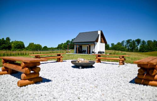 Bociania Polana - całoroczny relaks w sercu Kaszub - Foto 1