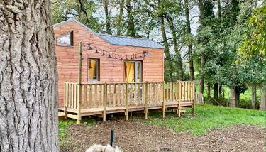 Gites De L'Etang Des Noues - Photo 3