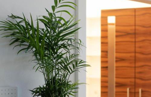 Ferienwohnung Schmuckkästchen - Foto 25