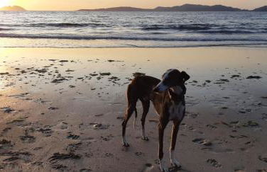 APARTAMENTO VISTAZUL SAMIL - Foto 62